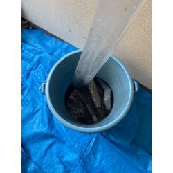 9月も夏ですね！の画像3