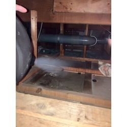 大阪府にてアライグマ被害防除対策を行いました。の画像3