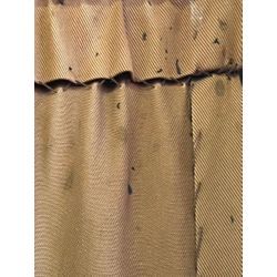 【プロが語る】この状況を見れば一目瞭然！店舗にいるゴキブリの種類が分かる理由とは？の画像1