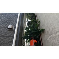 ✿ 今週の作業より ～お庭じまい・剪定・駐車スペースの整備まで ✿の画像2