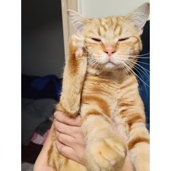 熱烈歓迎🙌🎊の画像1