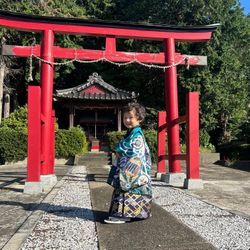 3歳男の子と5歳男の子の七五三の画像3