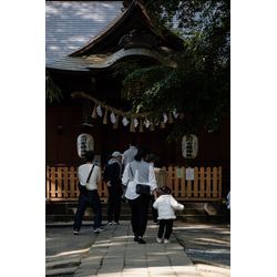 【新常識】【画像あり】七五三は「桜」が狙い目！混雑を避けて最高の1枚を残すメリットとは？の画像1