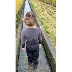 2025年新米_稲刈りの画像2