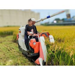 2025年新米_稲刈りの画像1