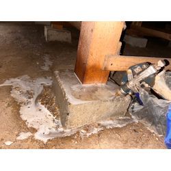 シロアリ駆除の画像2