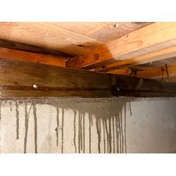 シロアリ駆除の画像1