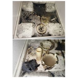 台東区 ドラム式洗濯機 排水口詰まり除去！の画像1