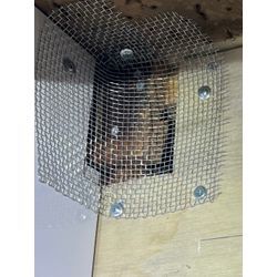 千葉県木更津市ゴキブリ駆除の画像1