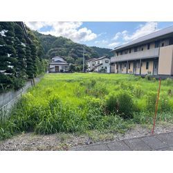 草刈正樹2の画像1