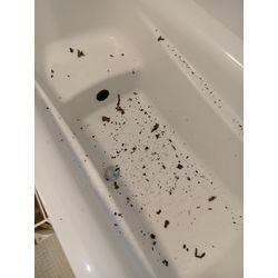 単身賃貸でお忙しいあなたにもの画像2