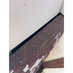 コウモリ侵入対策　福岡県柳川市の画像1
