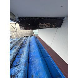 コウモリ侵入対策　福岡県柳川市の画像2