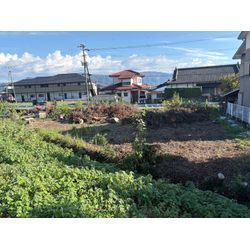 八代市　U社様ご依頼　不動産様敷地　伐採⑤の画像3