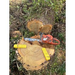 八代市　U社様ご依頼　不動産様敷地　伐採⑤の画像1