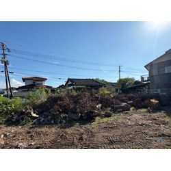 八代市　U社様ご依頼　不動産様敷地　伐採⑤の画像2