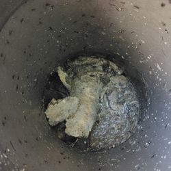 夏休みだ！高圧洗浄だ！の画像1