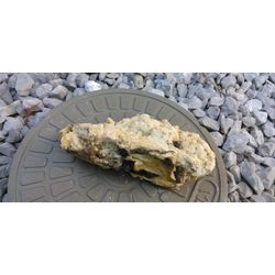 夏休みだ！高圧洗浄だ！の画像2