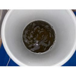 6月になりましたが、の画像2