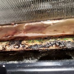 エアコンドレンホースキャップは定期的に掃除しましょう🙏の画像2