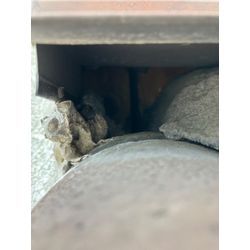 大阪府にてネズミ駆除防除対策を行いました。の画像1