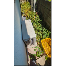 07/28ドクダミ討伐してきましたの画像1