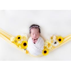 ブランコの画像3