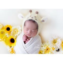 ブランコの画像2