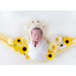 ブランコの画像1