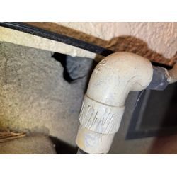 松戸市ネズミ駆除の画像1