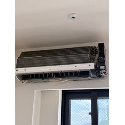 6月に入りましたの画像1