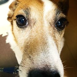 安らかにの画像1