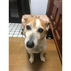 安らかにの画像2