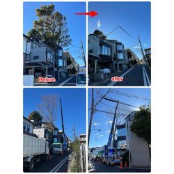 世田谷区弦巻　高さ20m超の伐採作業の画像1