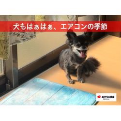 サマーカット後も暑い…エアコン前にチェックをの画像1