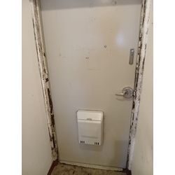 壁紙クロス・コンクリートのカビ除去の画像3