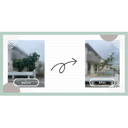 B様　お客様の声の画像1