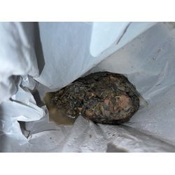 渋谷区　洗濯機排水口詰まり除去！の画像3