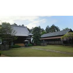 川口探訪③　金剛寺の画像3