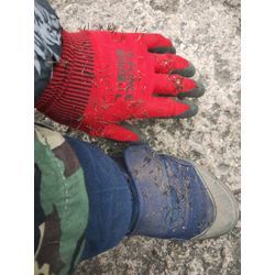 夏の枯れ草の除去作業　群馬高崎の植木屋ゆうさんSortBlogの画像3