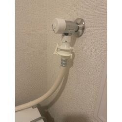 おくんちですねの画像1