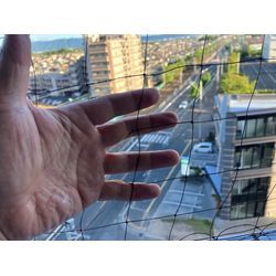 🐦鳥栖市マンション鳩ネット取り付けの画像1