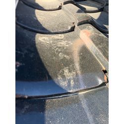 イタチ　害獣　侵入対策　福岡県糸島市の画像1