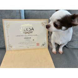 ★ハウスクリーニングアドバイザー★の画像1