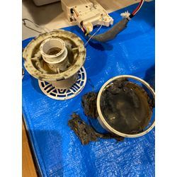 ★排水カップ洗浄★の画像1