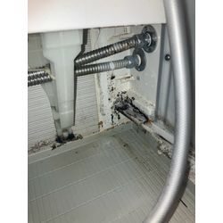 【見えないカビもお掃除します！】の画像1