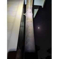 柏市ネズミ駆除の画像1