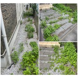 2025/07/04 作業の画像1