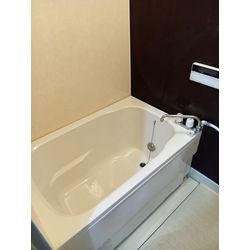 浴槽のピンクカビ・壁のカビクリーニングの画像1