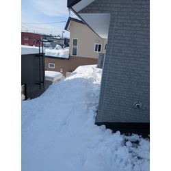 軒下の仁義😠の画像2